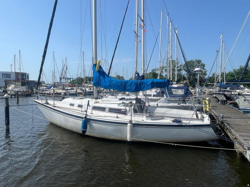 Van der Stadt Pioneer
