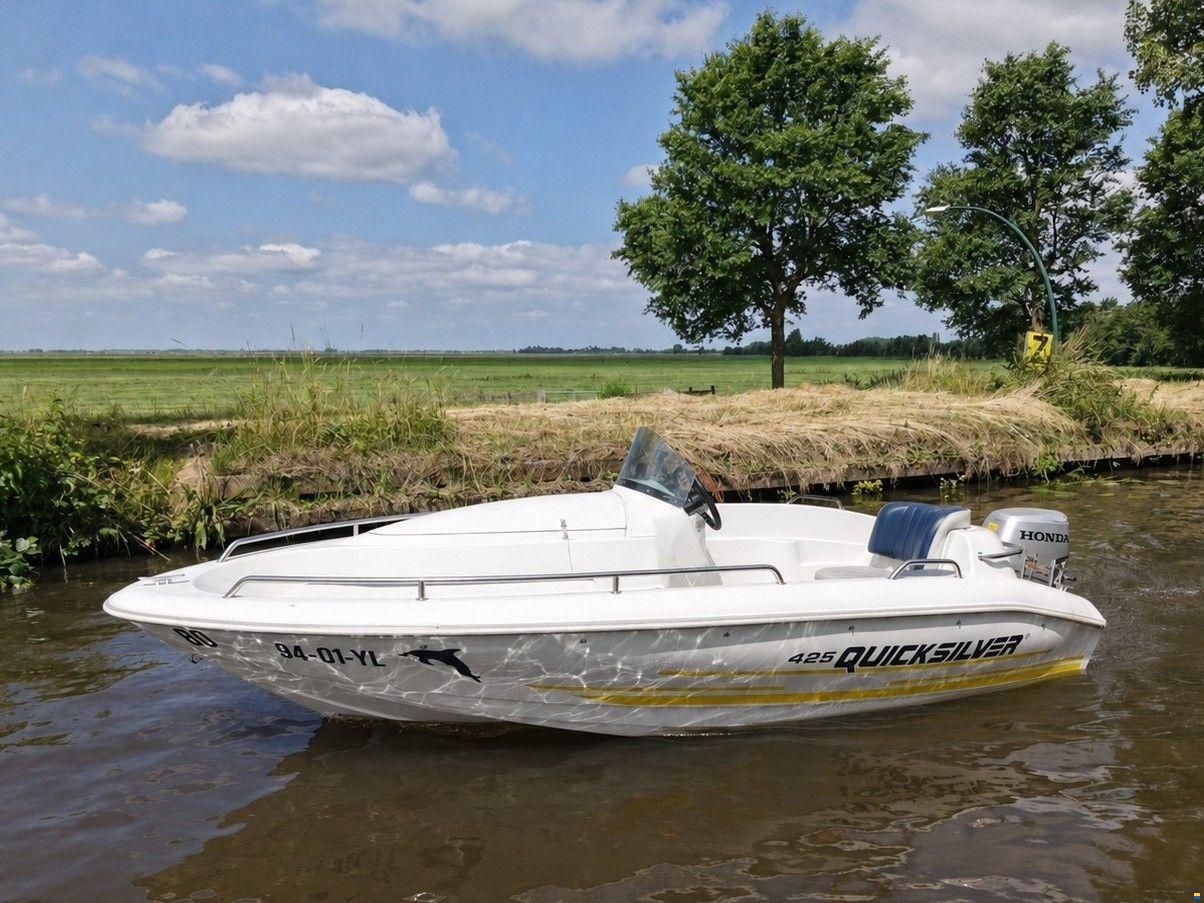 Quicksilver 425 Open