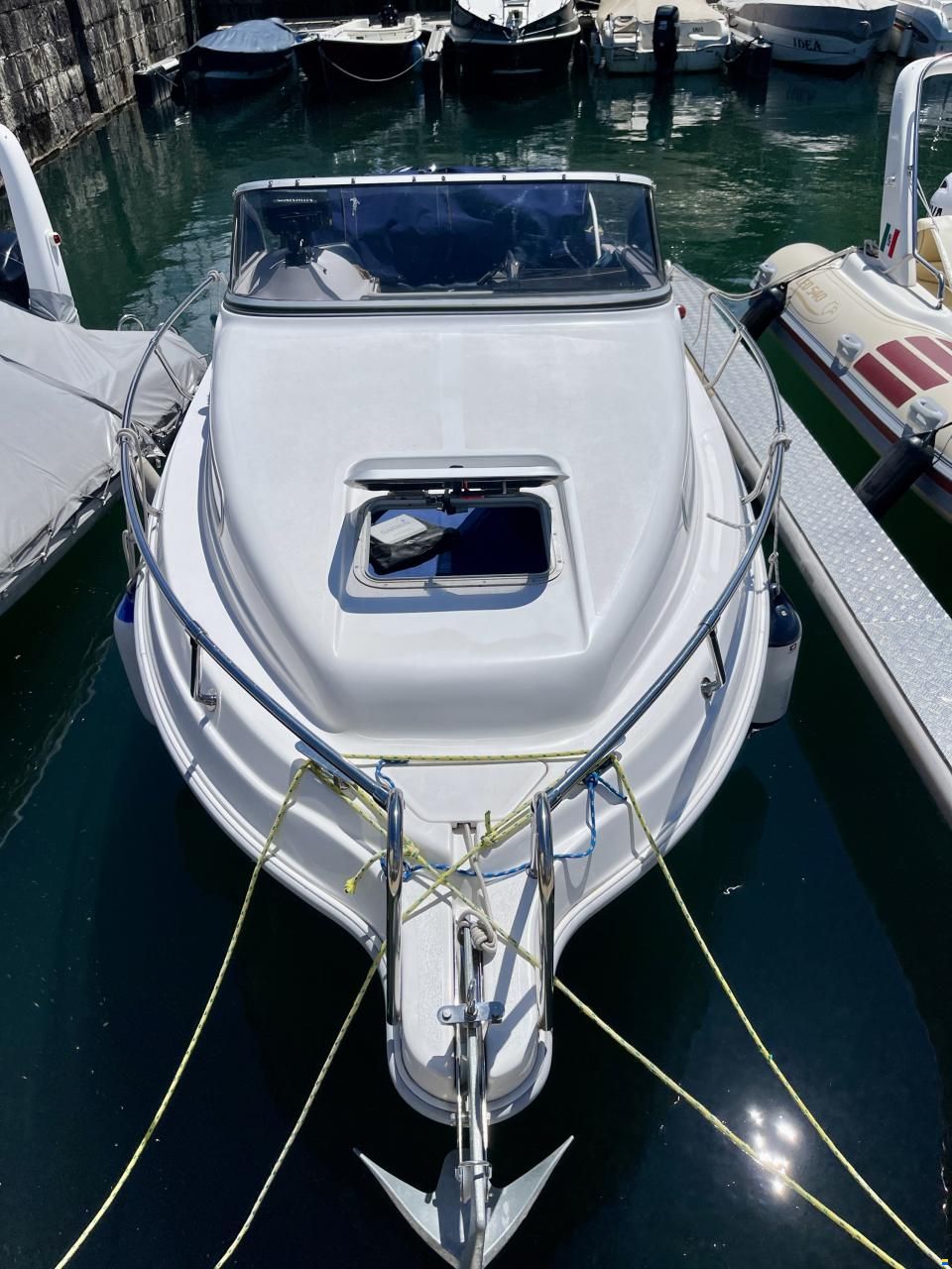 Drago 550
