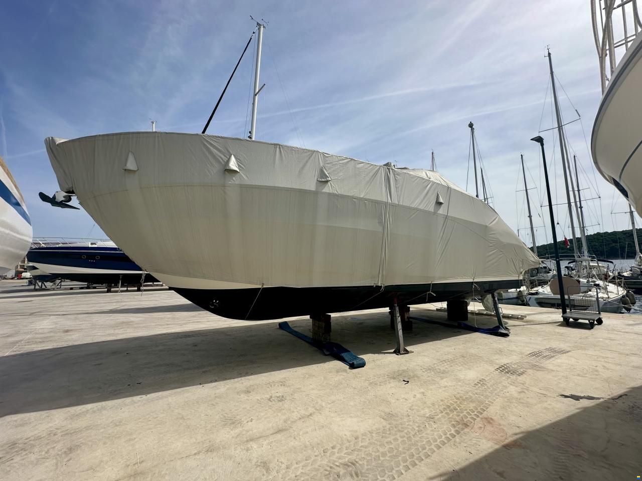 Bavaria Sport 39