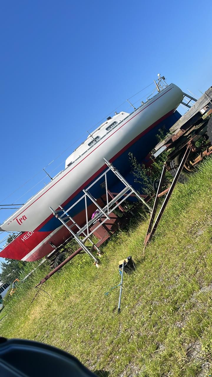Albin Accent 26