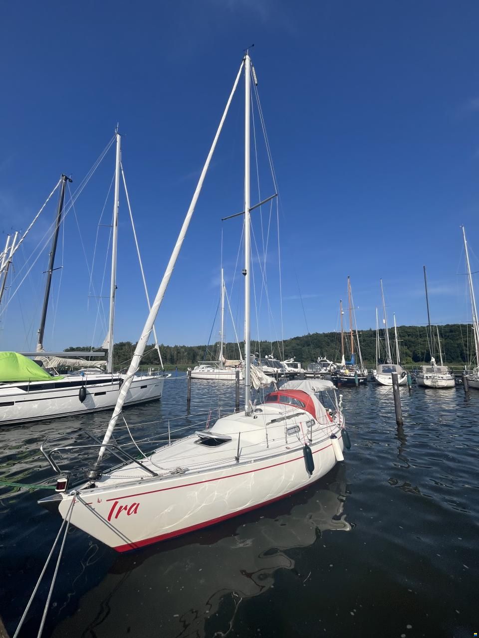 Albin Accent 26