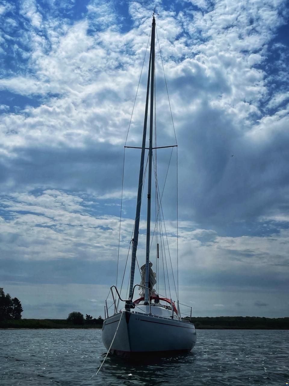 Albin Accent 26