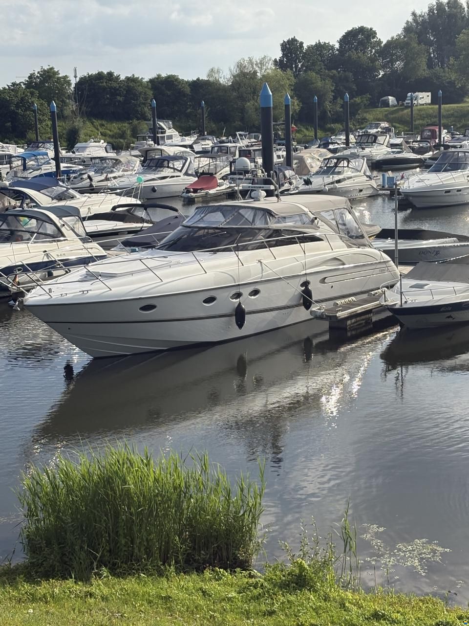 Princess V50