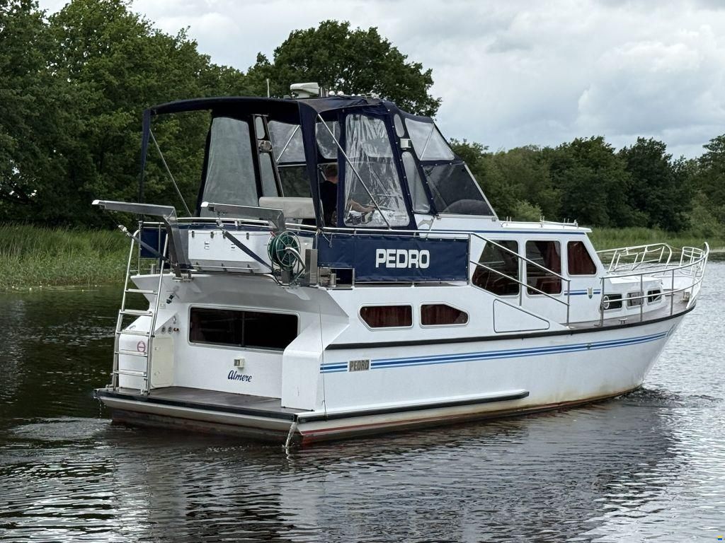 Pedro 37