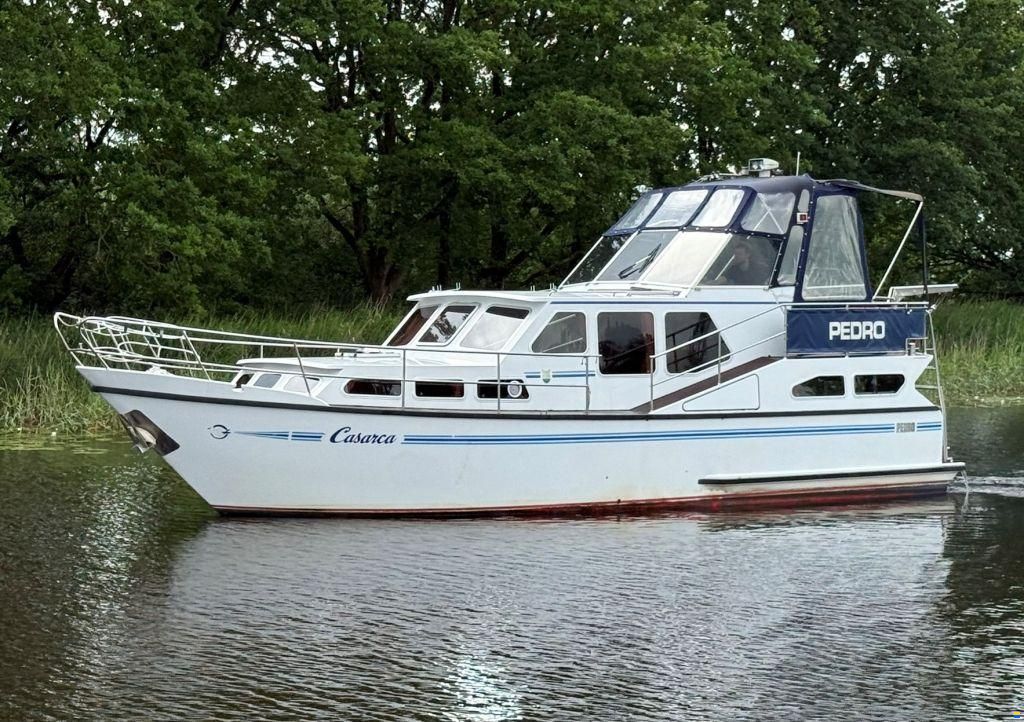 Pedro 37