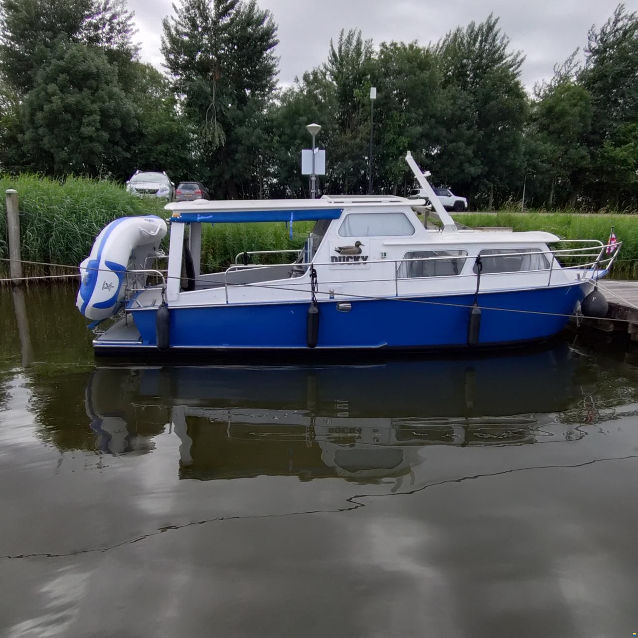Dongemondkruiser