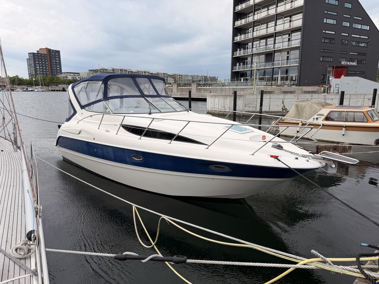 Bayliner 305
