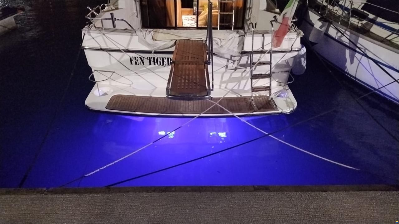 Fairline 43 Fly