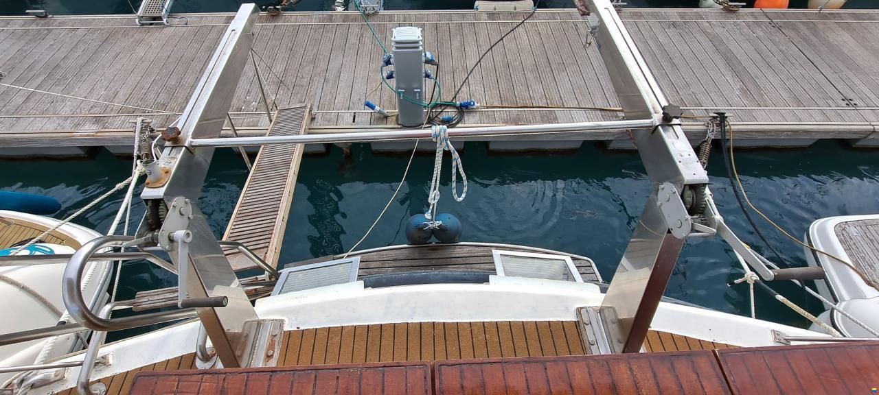 Schwarz Imperator 41