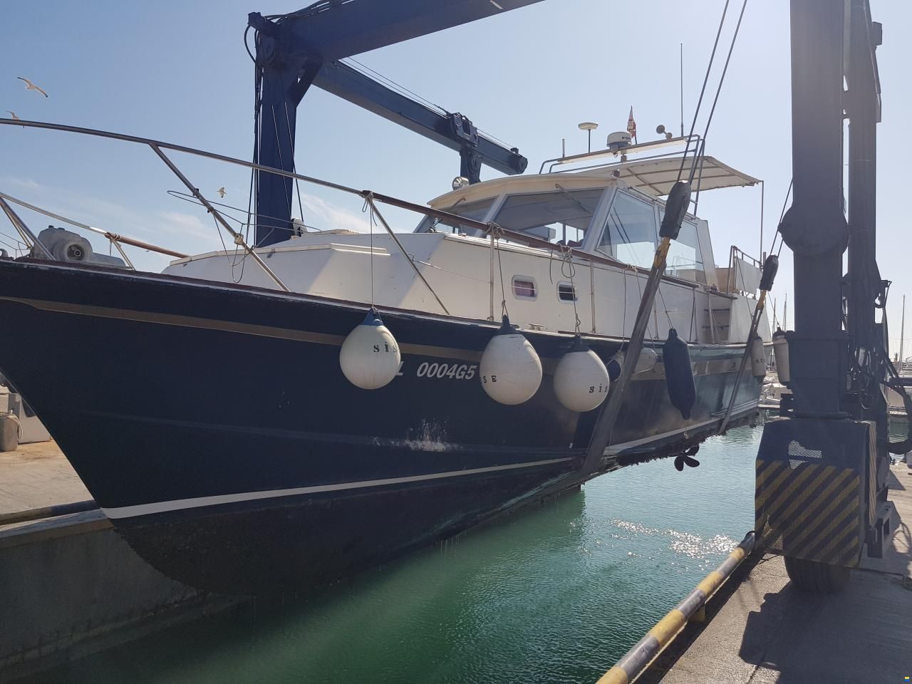 Schwarz Imperator 41