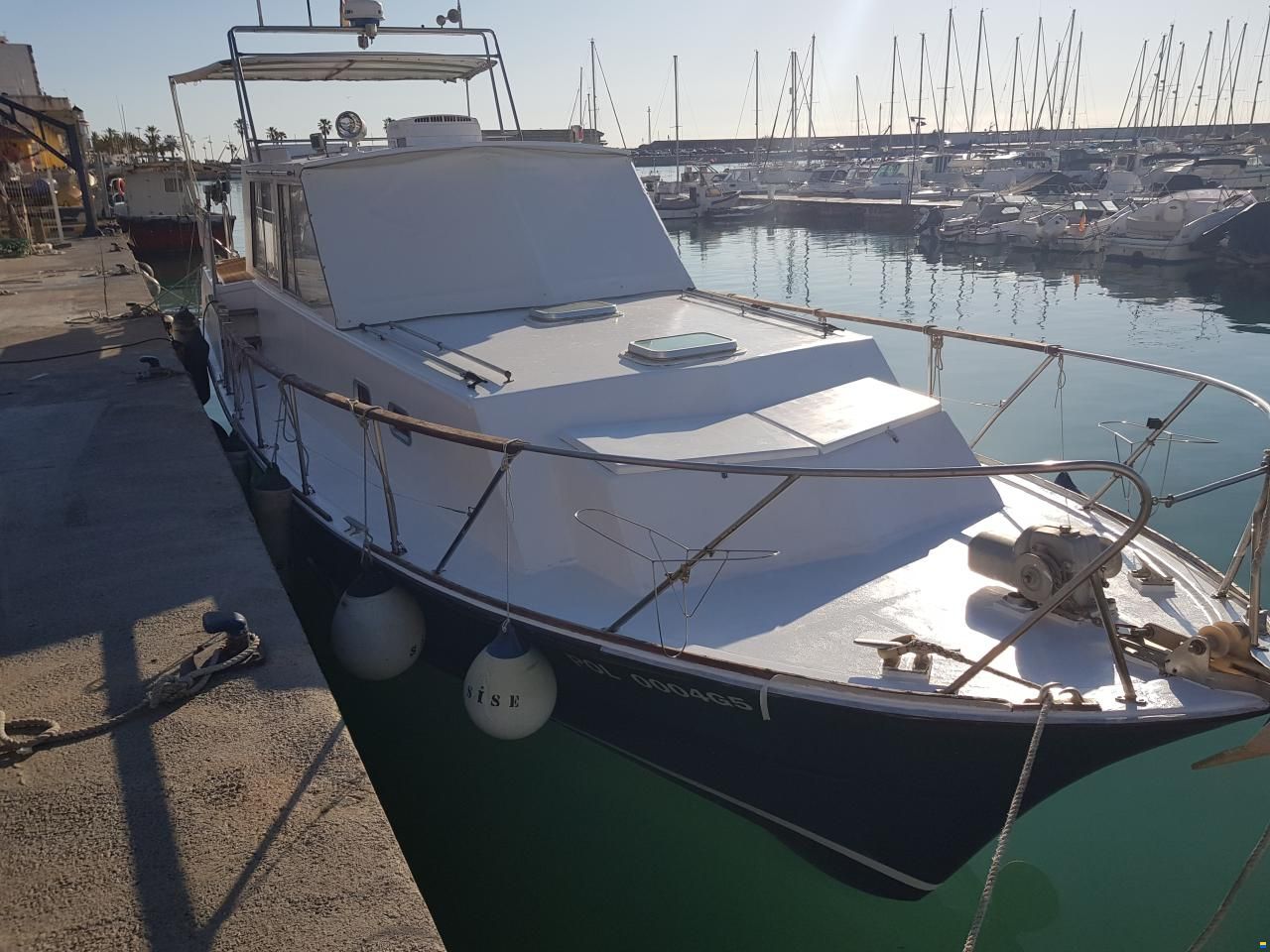 Schwarz Imperator 41