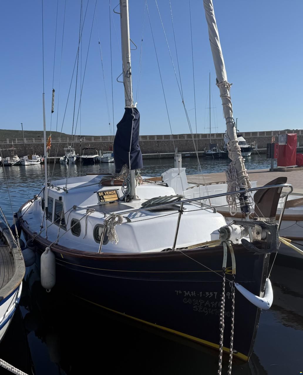 Myabca Delfín 28