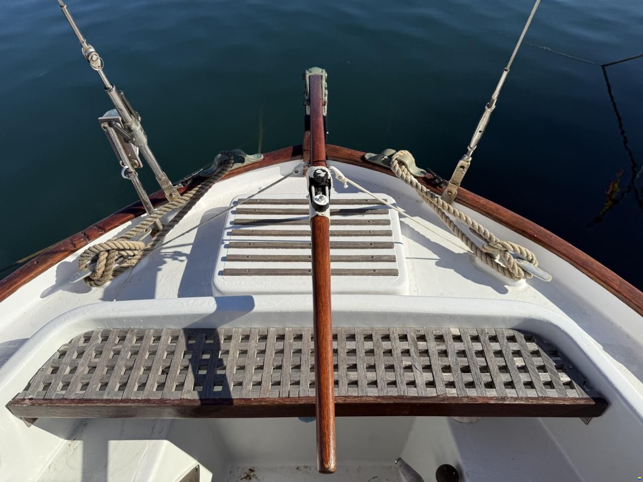 Myabca Delfín 28