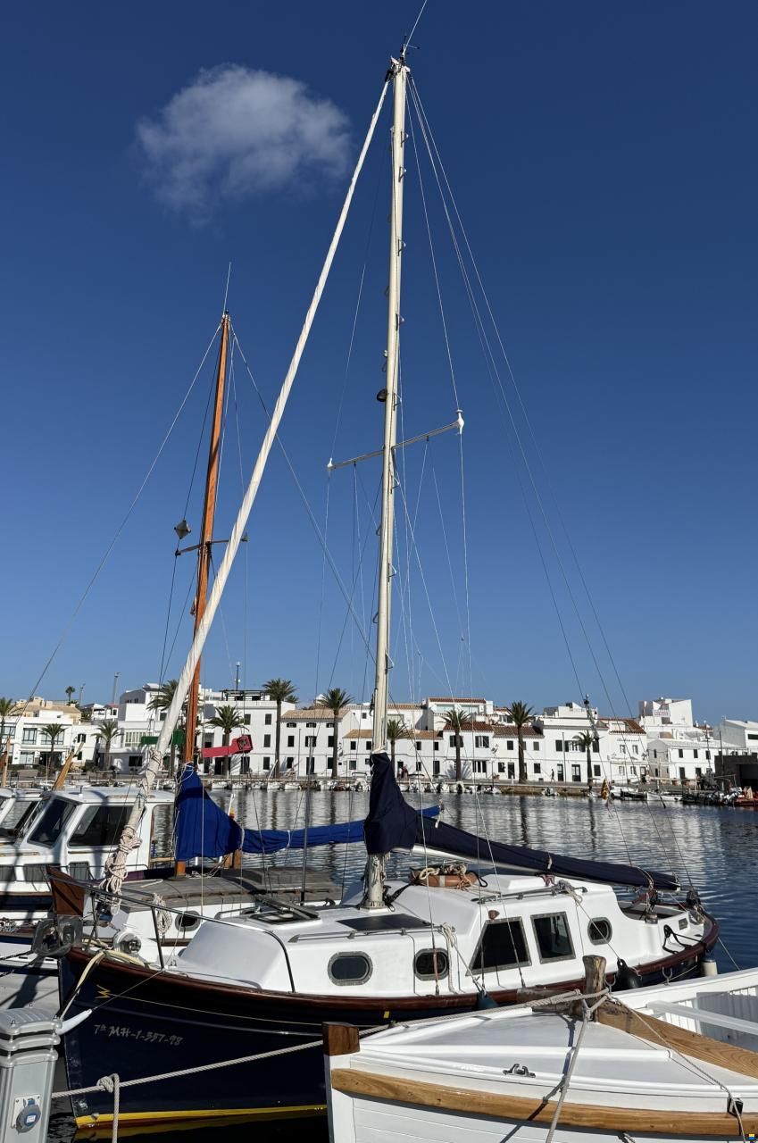 Myabca Delfín 28