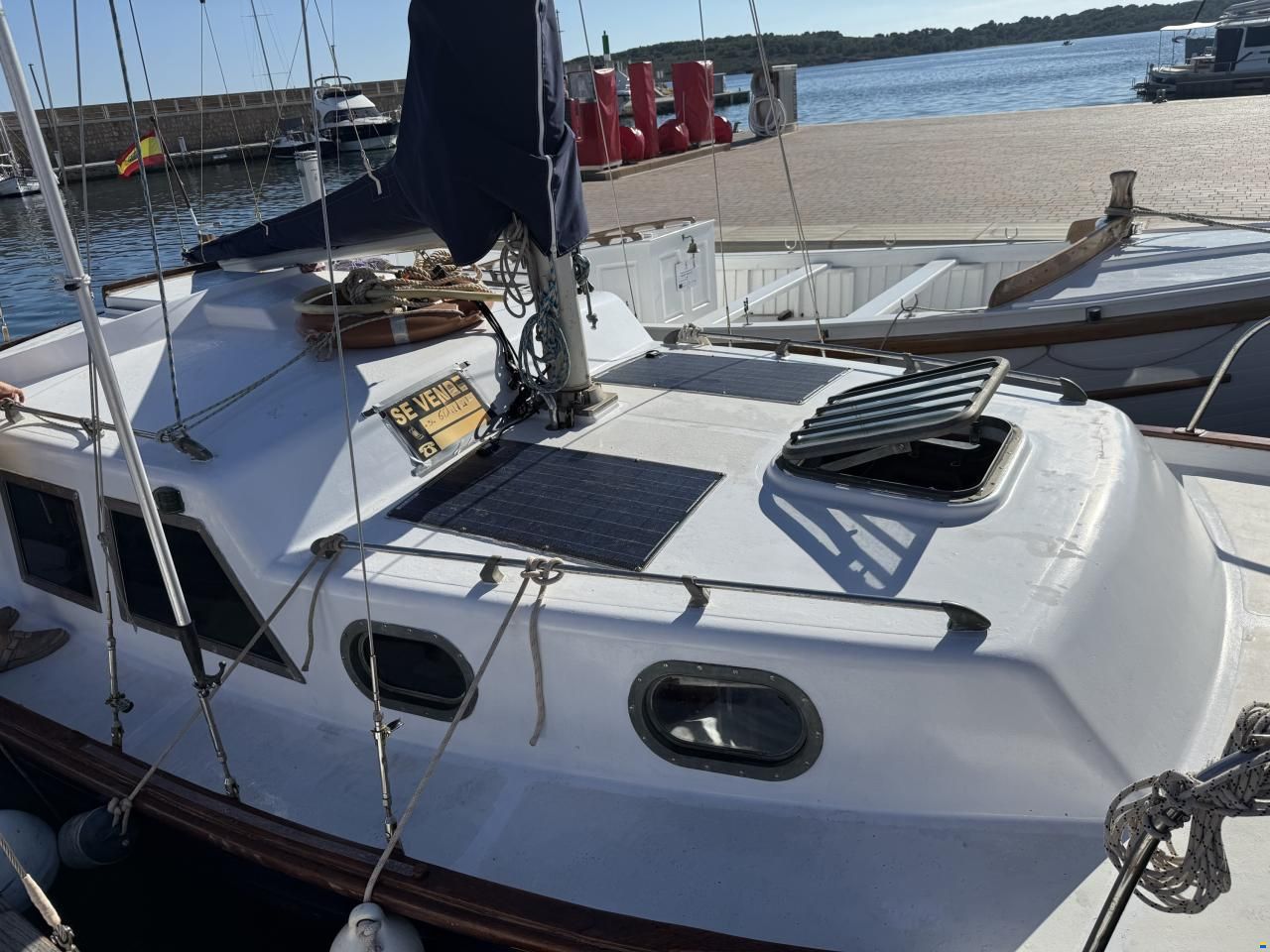 Myabca Delfín 28