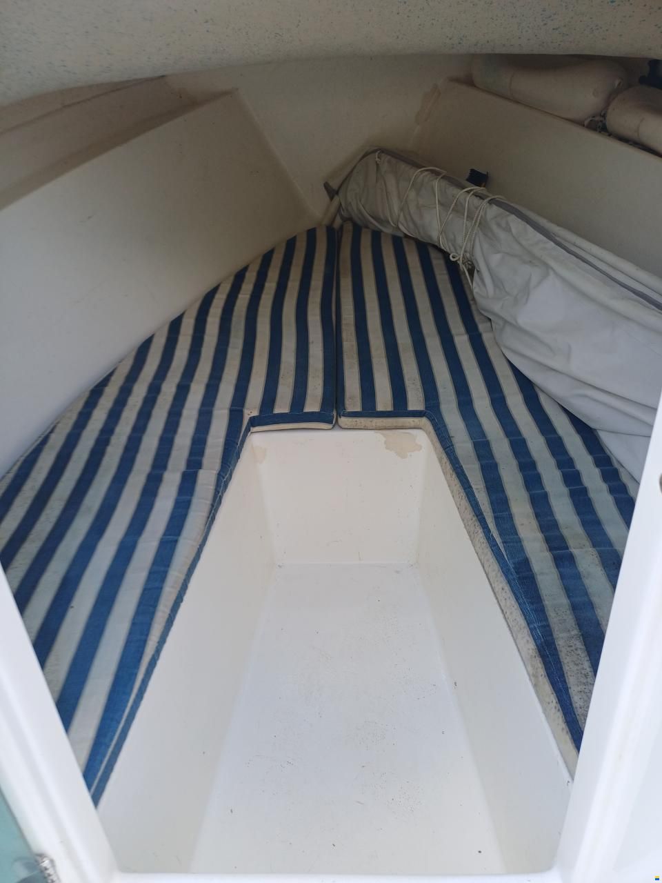 B2 Marine Cap Ferret
