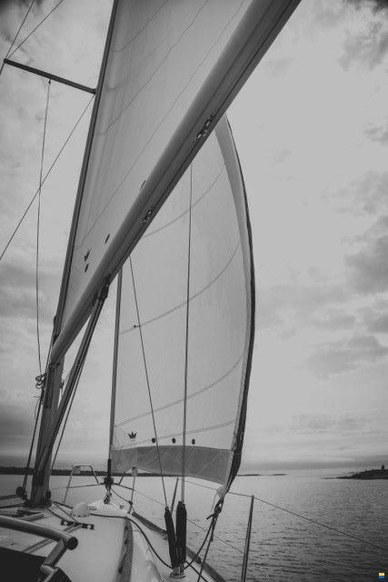 Dufour 325