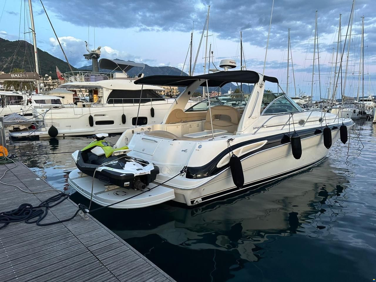 Sea Ray sandenser 410
