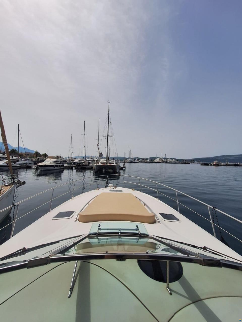 Sea Ray sandenser 410