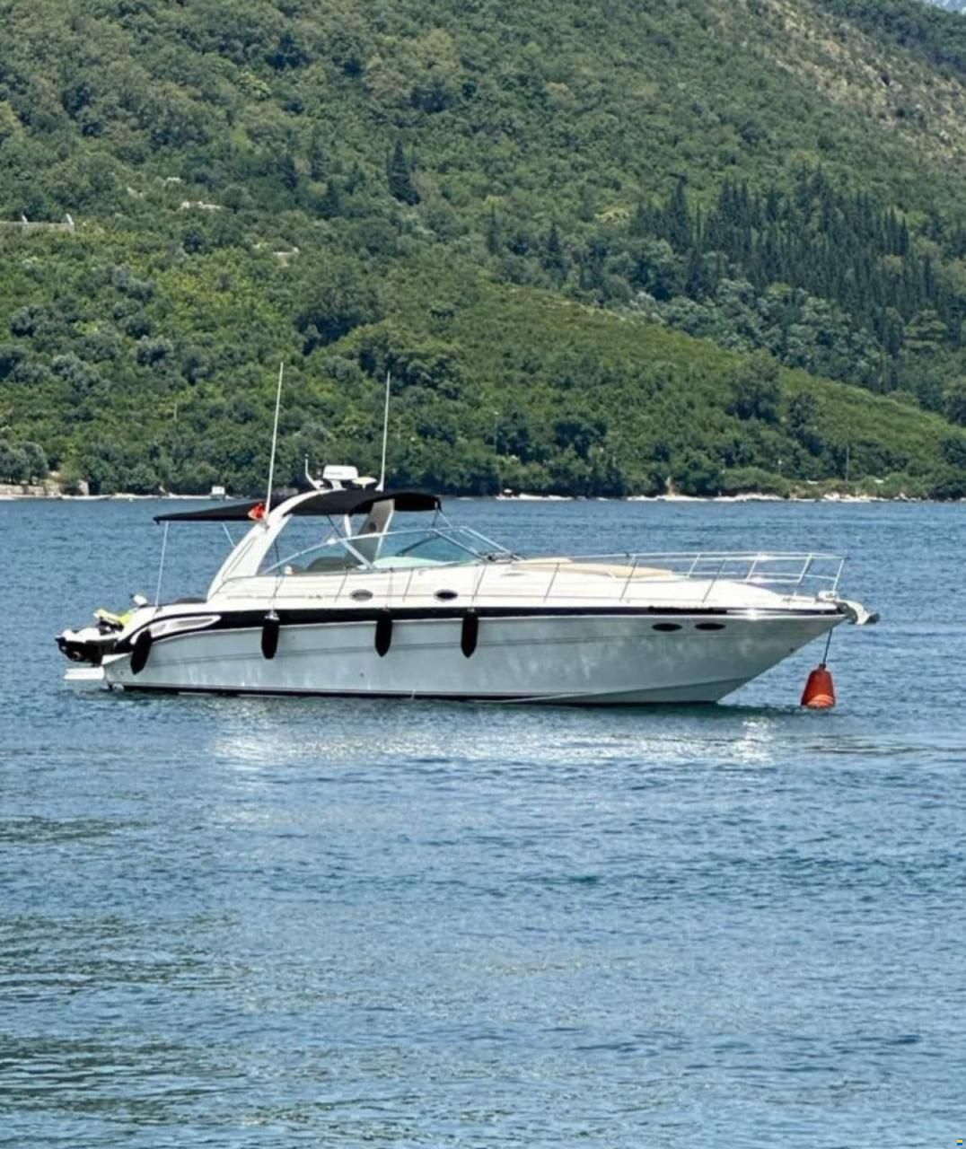 Sea Ray sandenser 410
