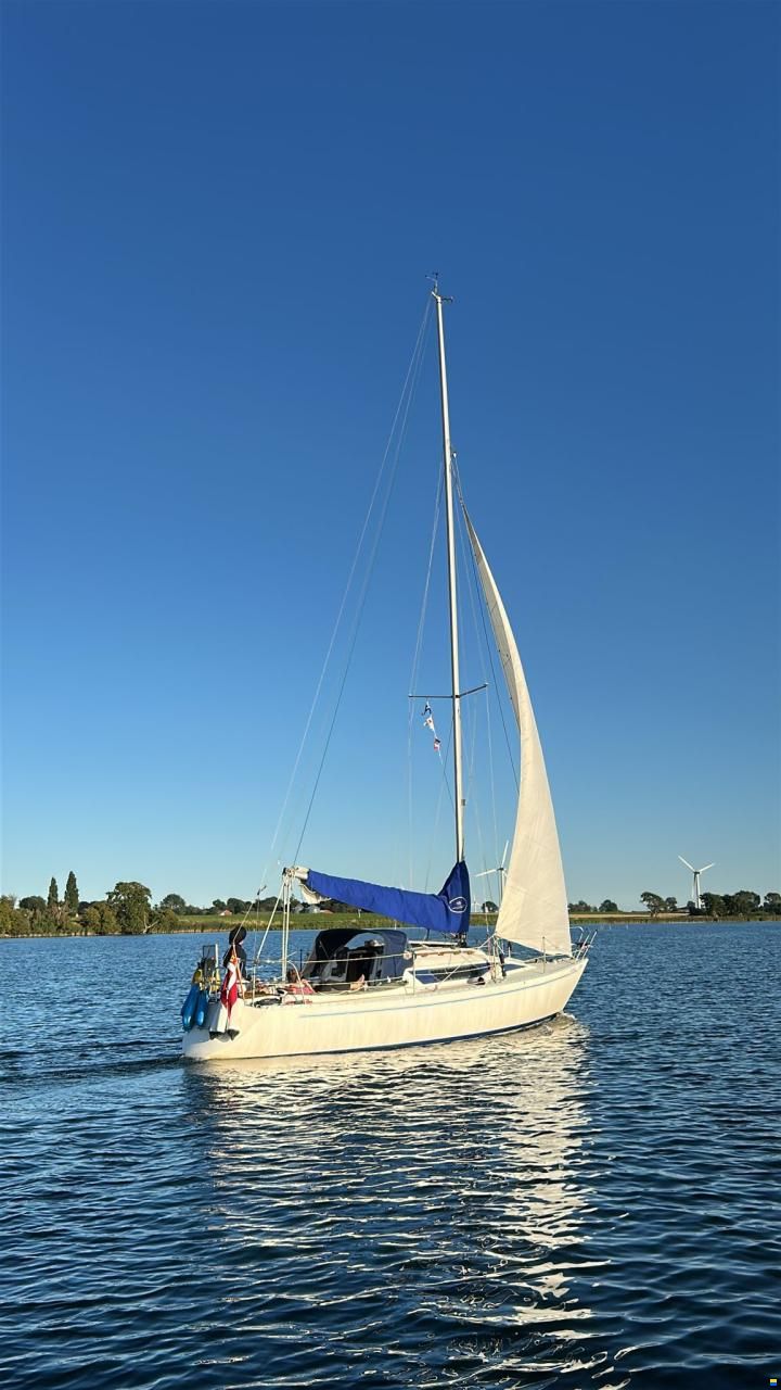 Artekno H323