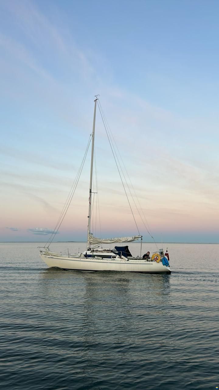 Artekno H323