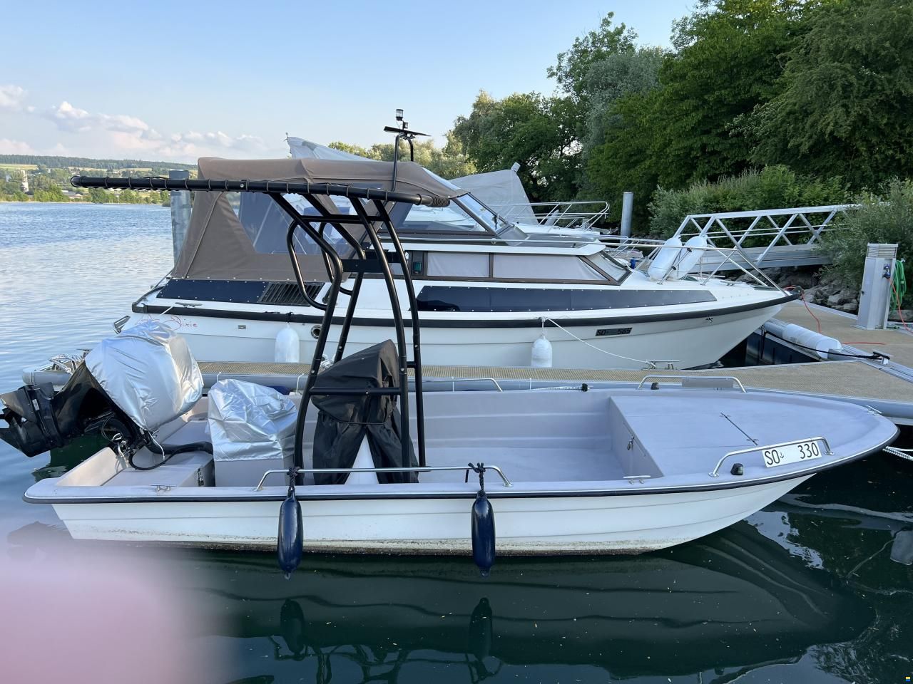 Swiss Cat 18