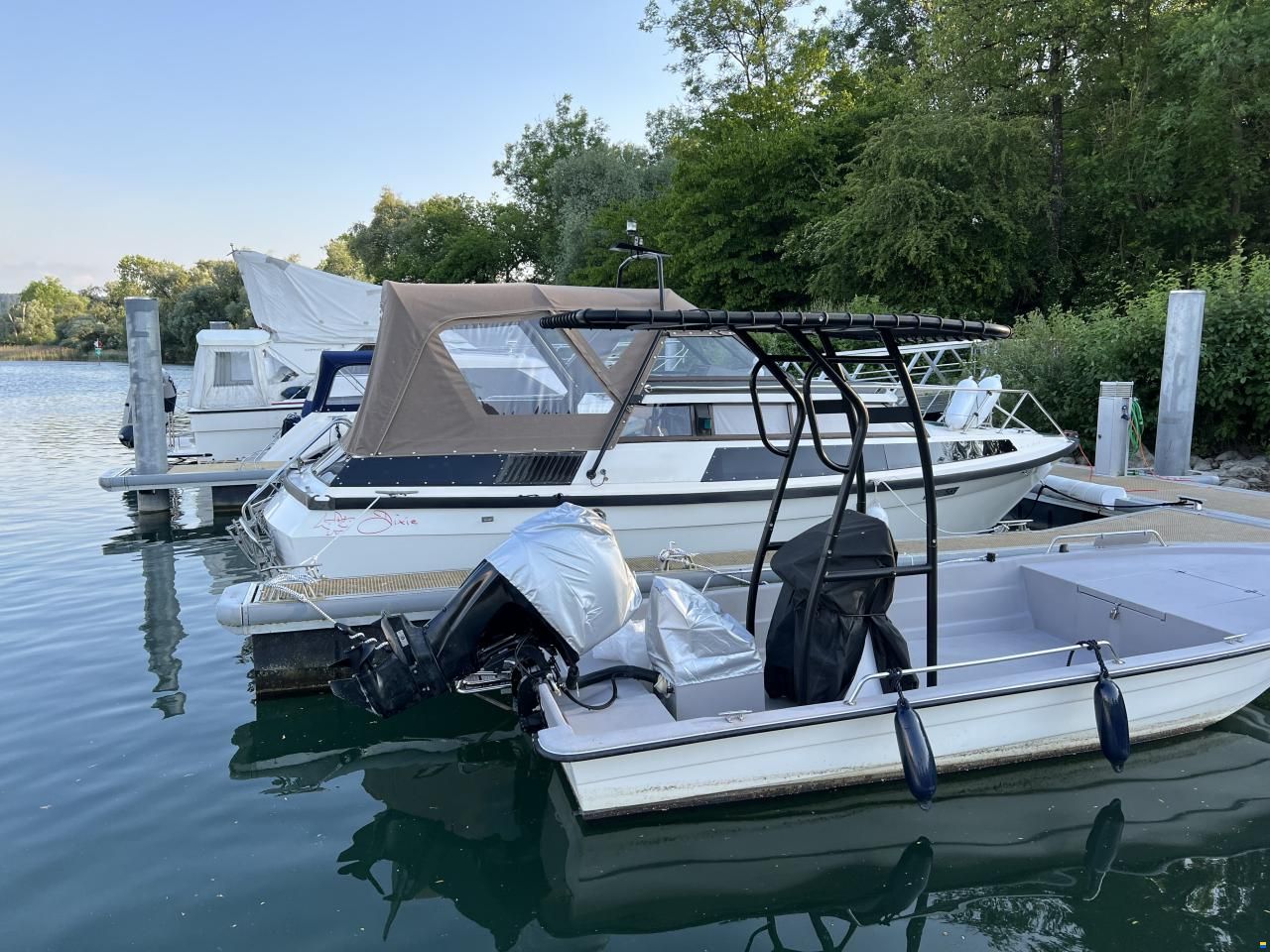 Swiss Cat 18