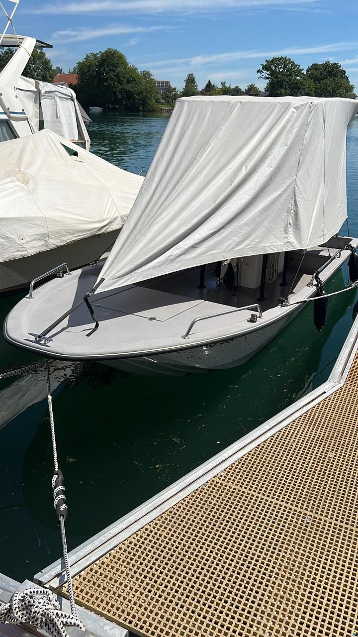 Swiss Cat 18
