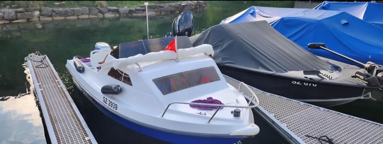 Mistral 45