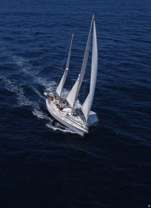 Morgan Out Island 51