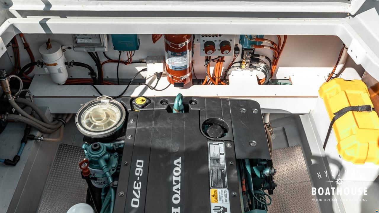 Sargo 31