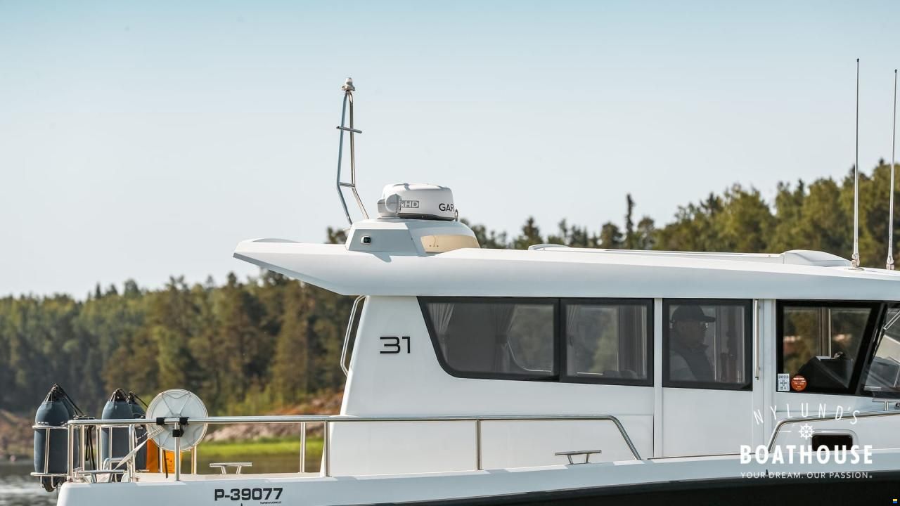 Sargo 31