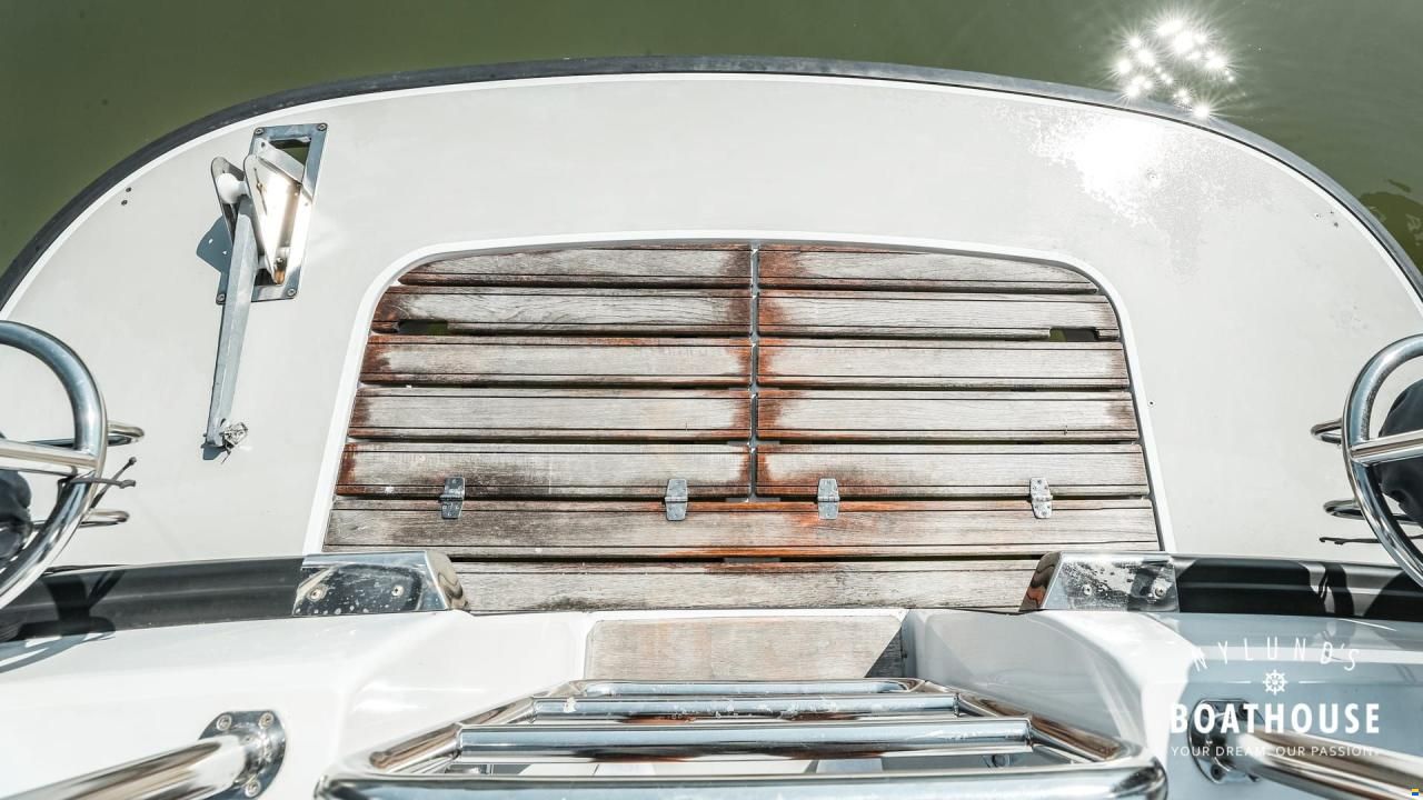 Sargo 31
