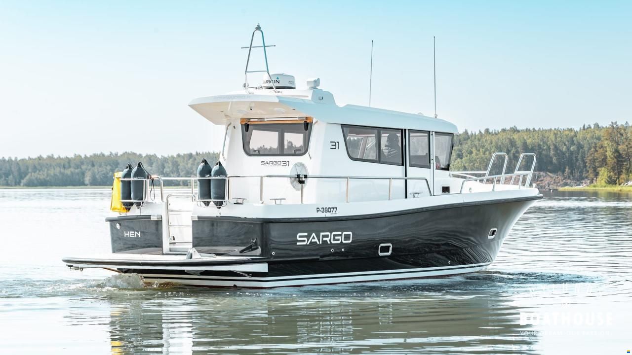Sargo 31