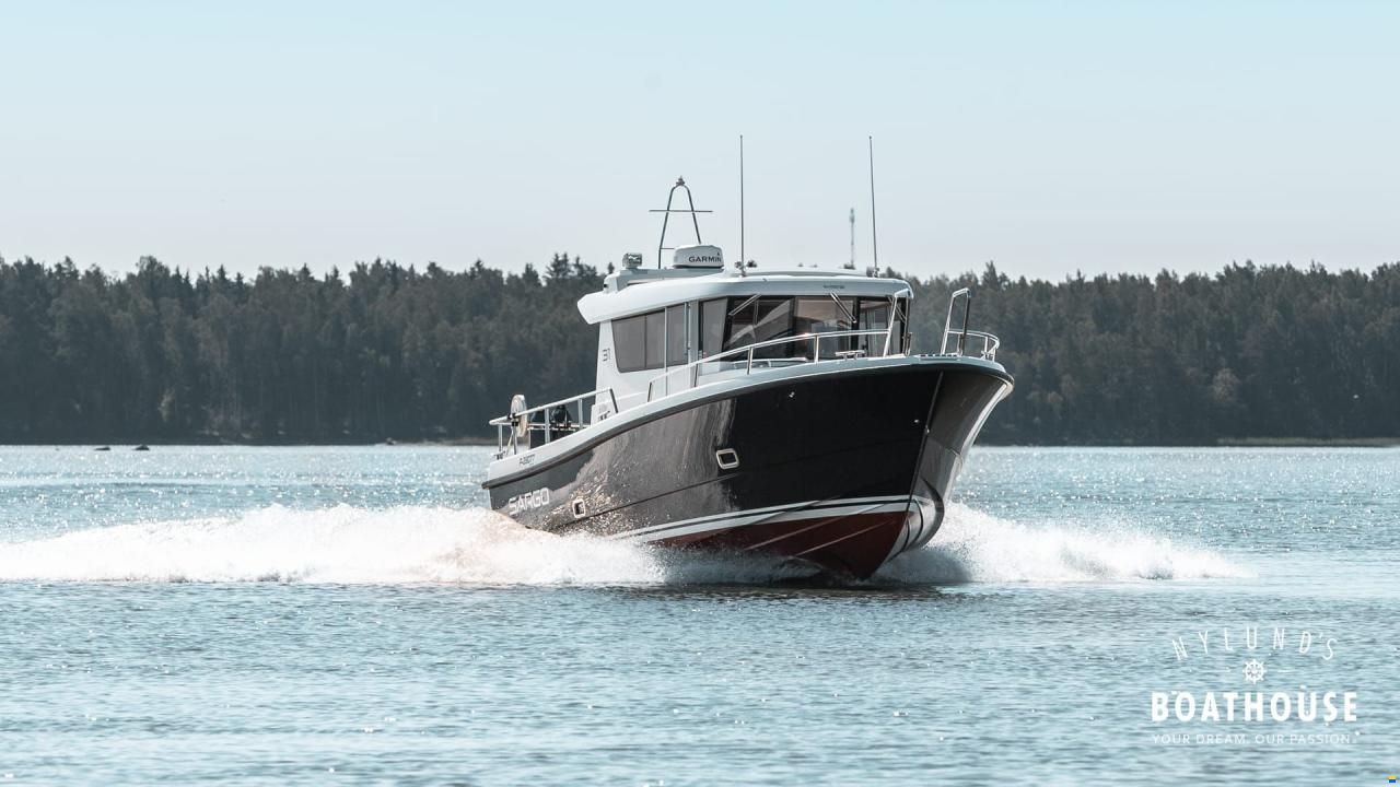 Sargo 31
