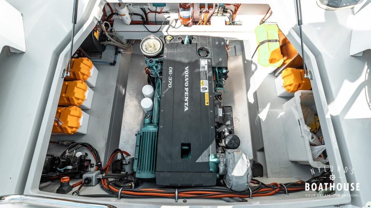 Sargo 31