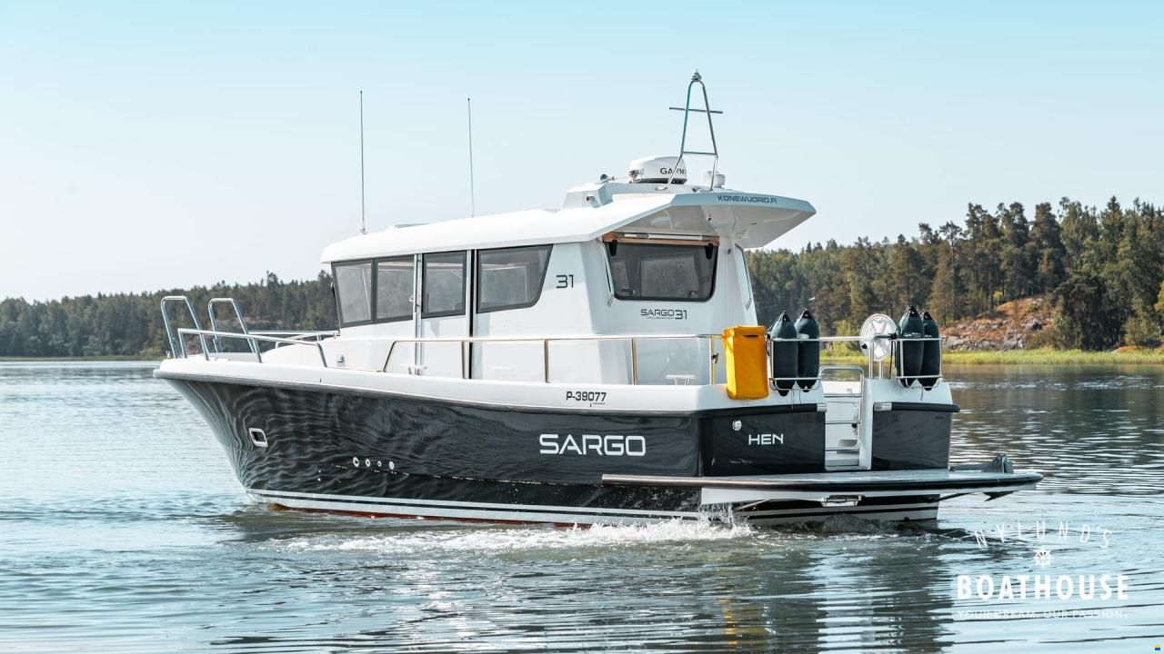 Sargo 31