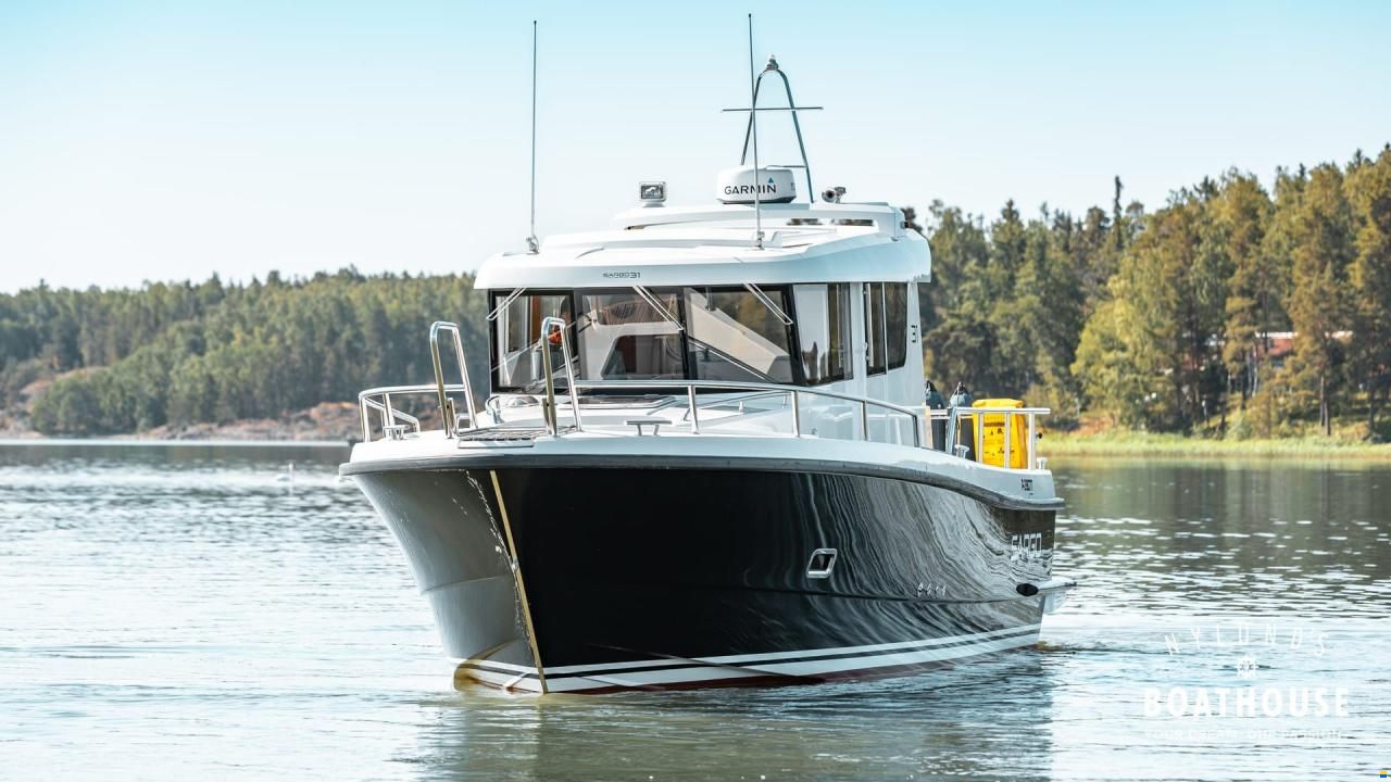 Sargo 31