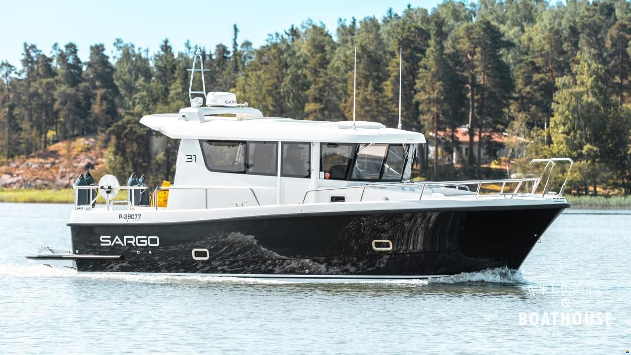 Sargo 31