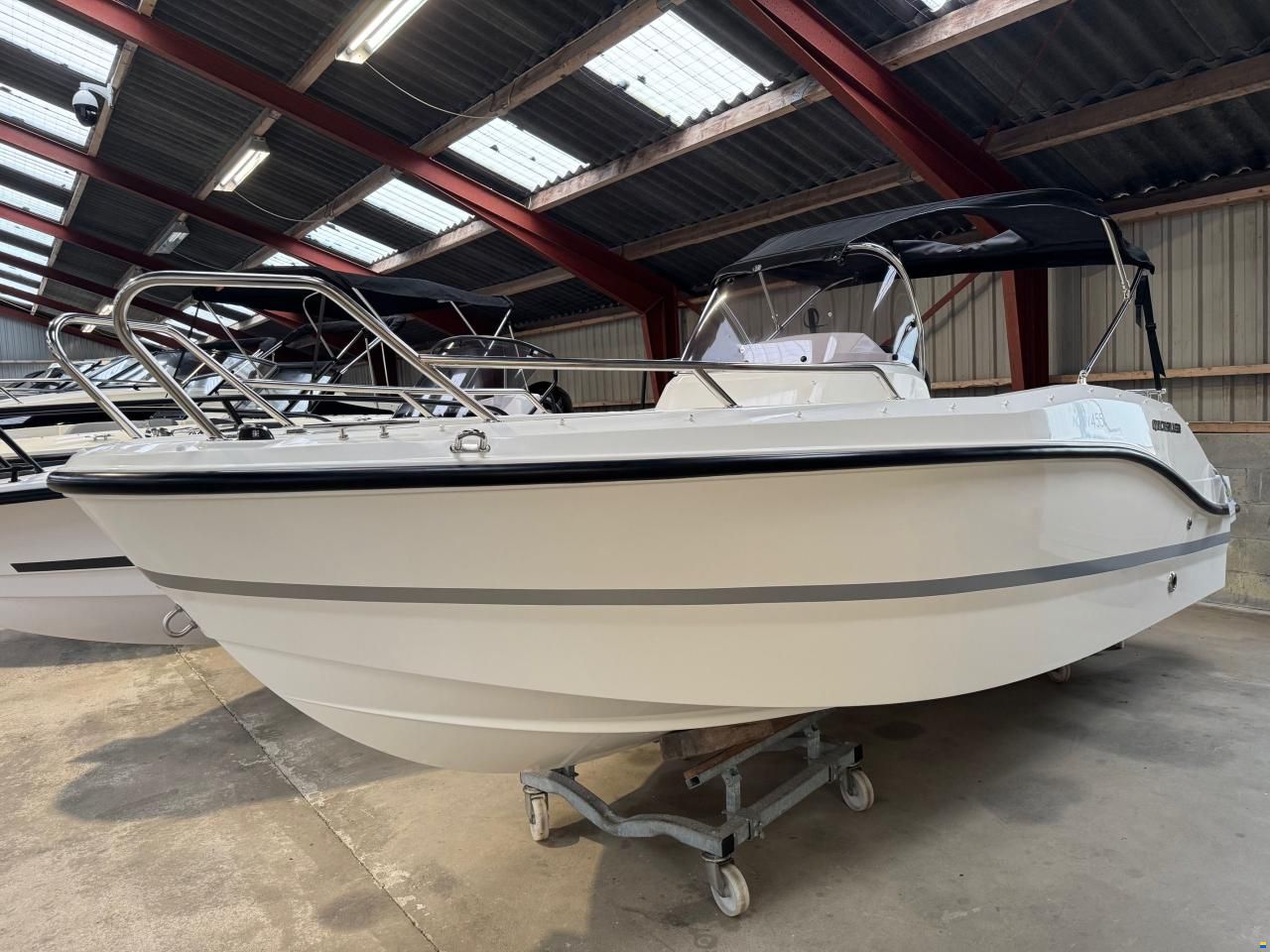 Quicksilver Activ 455 Open med F60 Mercury-EFI 4 tak