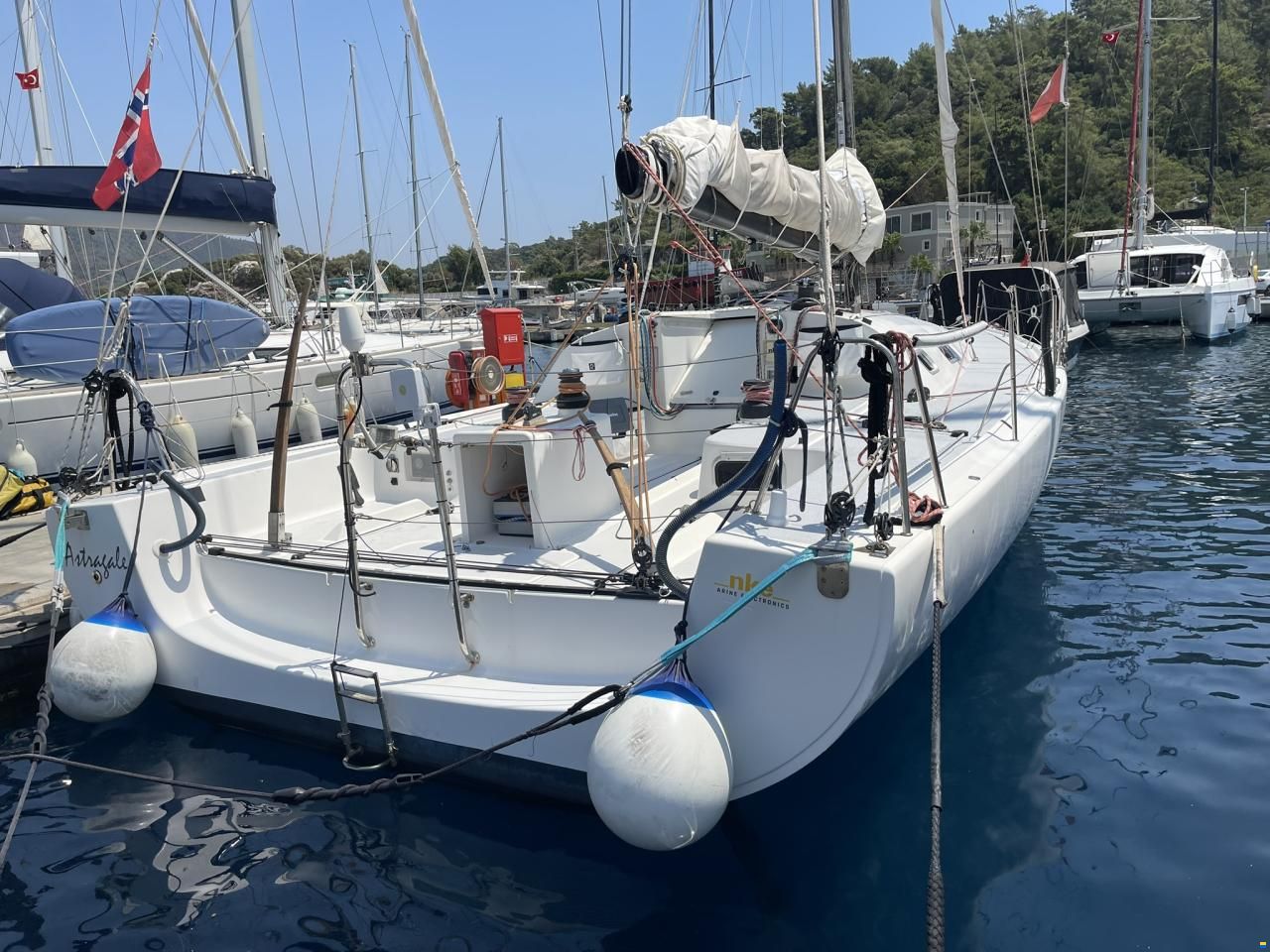 Pogo 40 GTE