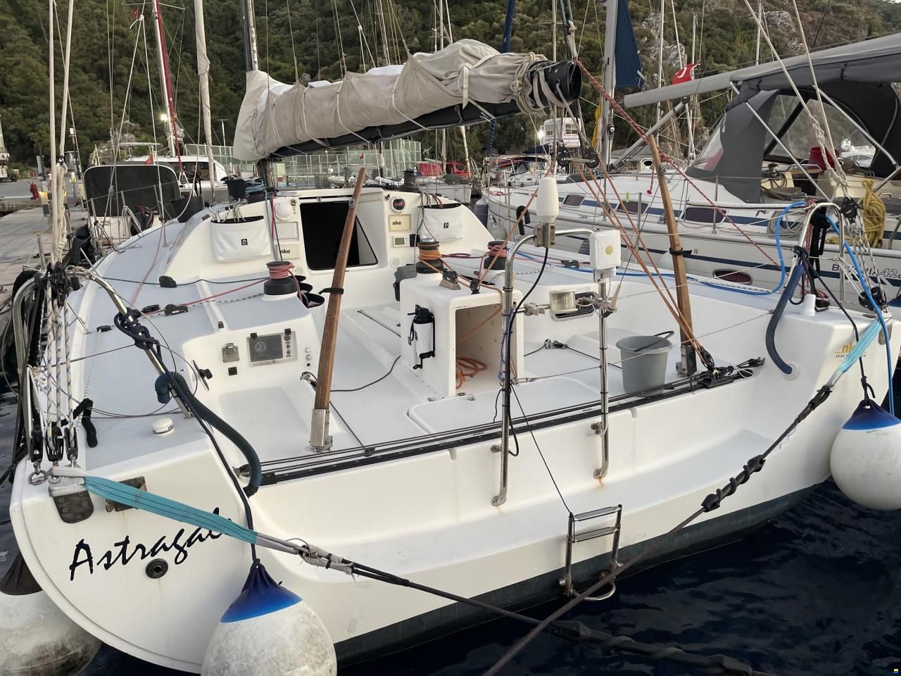 Pogo 40 GTE