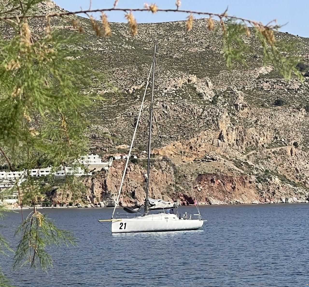Pogo 40 GTE