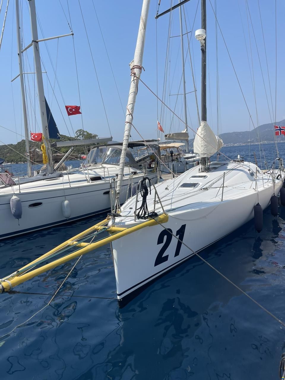 Pogo 40 GTE