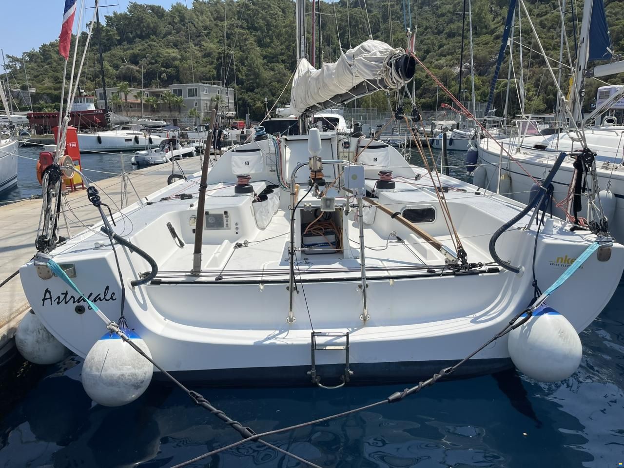 Pogo 40 GTE