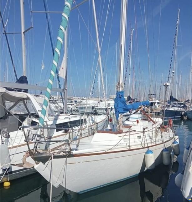 Le Comte Northeast 38