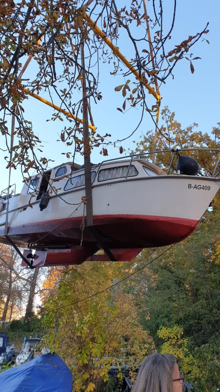 Delta Cruiser