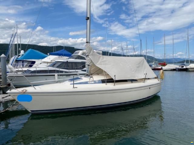 Maxi Fenix